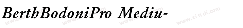 BerthBodoniPro Mediu字体转换